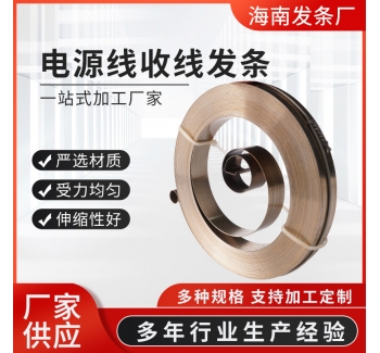 電源線收線發(fā)條不銹鋼發(fā)條彈簧收線發(fā)條鋼帶平面渦卷卷簧